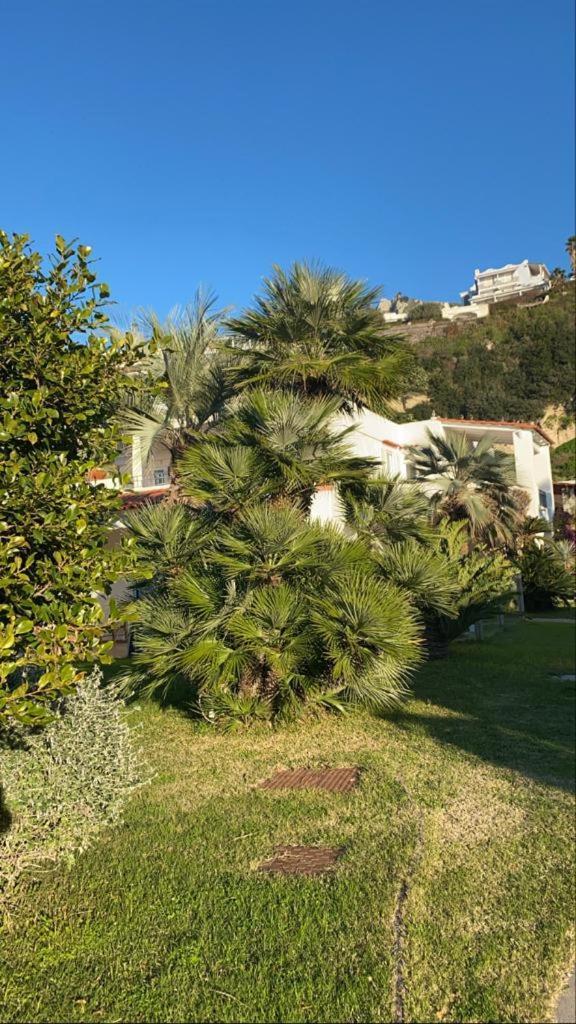 Casa Margherita Ischia Forio di Ischia Εξωτερικό φωτογραφία